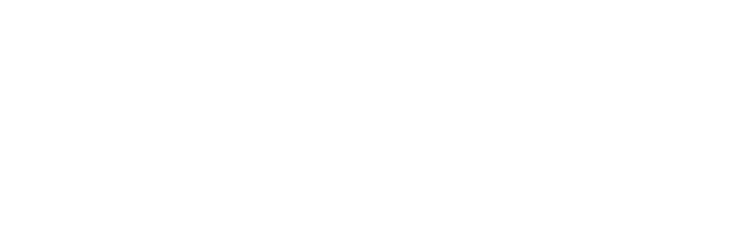 Hyundai Empresas