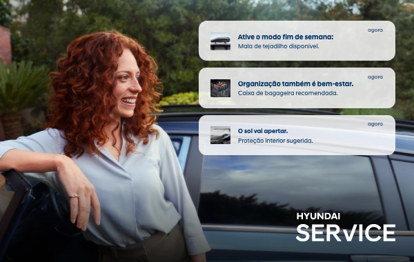 Carro APV Acessórios