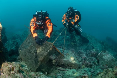 mergulhadores a limpar o fundo do mar.