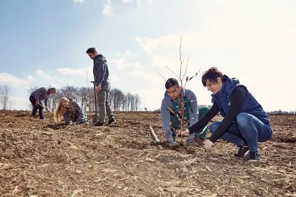 HYUNDAI promove reflorestação em toda a Europa como parte da Iniciativa Global Floresta IONIQ