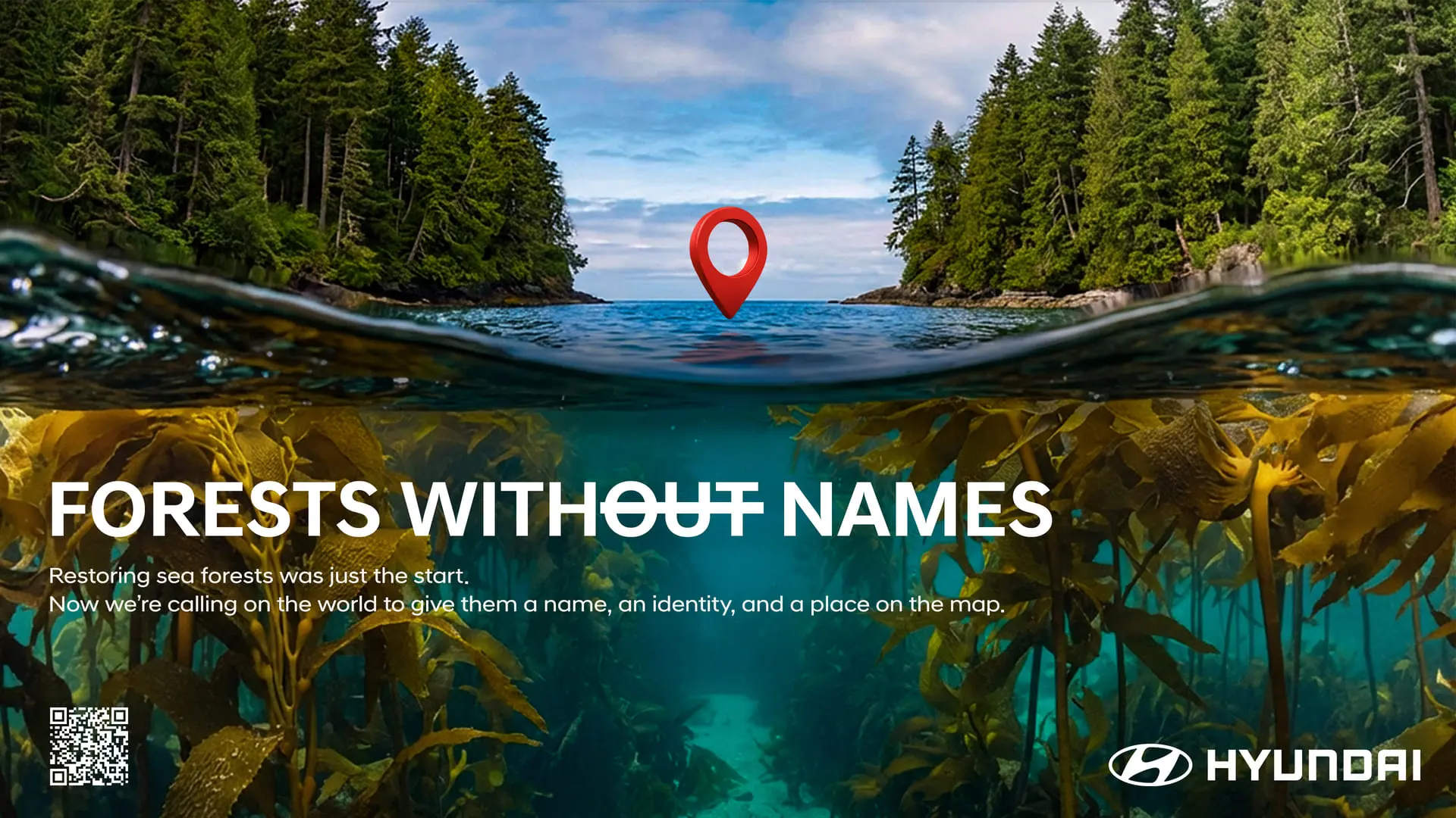 Florestas sem Nome: HYUNDAI traz para a luz as “florestas marinhas” escondidas do mundo